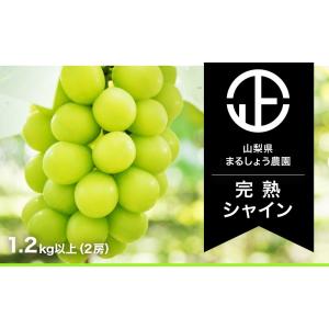 【完熟】シャインマスカット　２房 1.2kg以上　山梨県産　ぶどう