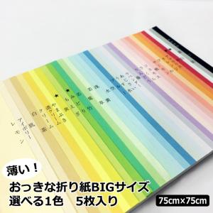 薄いおっきな折り紙 選べる1色 5枚|75cm×75cm BIGサイズ 上級者向け 大きい折り紙 単色 複雑系折り紙 薄い 両面同色