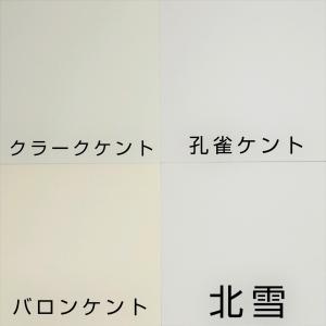 孔雀ケント 220kg A4ワイド 20枚|画...の詳細画像1