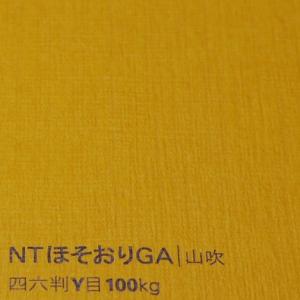 NTほそおりGA 170kg B4 20枚|全50色より1色選択 織り柄 エンボス 凸凹 T-EOS...
