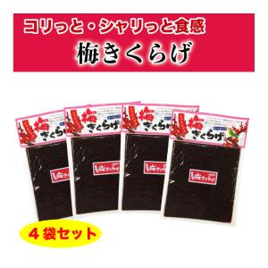 梅きくらげ ご飯のお供 佃煮 760g (190g×4袋) 梅果実 かつお節入り 送料無料 ポイント消化｜マルサ海藻Yahoo!店