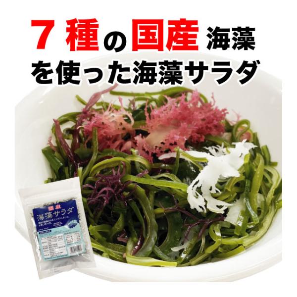 海藻サラダ 国産 乾燥サラダ 7種の海藻 18g お試し品 送料無料