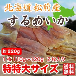 するめいか スルメ 松前産 約230g 特特大サイズ 北海道産 (110gから120g 2枚入) 送料無料