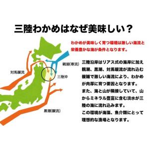 わかめ 三陸産 生わかめ 一等級 340g (...の詳細画像2