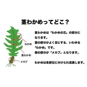 茎わかめ 国産 500g (250g×2袋) ...の詳細画像4