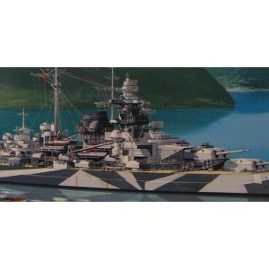タミヤ1/350 ドイツ 戦艦 テルピッツ｜marusan-hobby