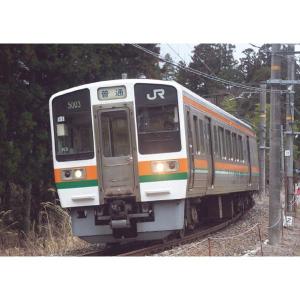 マイクロエース   A2664   213系-5000 飯田線 2両セット   Nゲージ 鉄道模型｜marusan-hobby