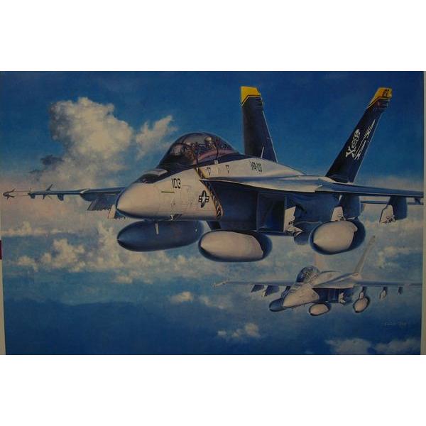 ハセガワ PT38  1/48スケール   F/A-18Fスーパーホーネット プラモデル組立キット