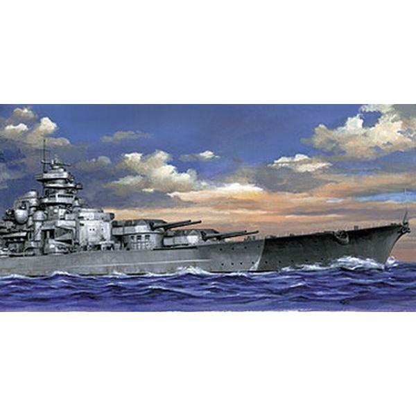 アオシマ WL.618  1/700スケール  ドイツ海軍戦艦 ビスマルク  プラモデル組立キット ...