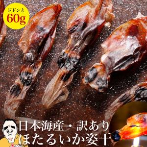 訳ありほたるいか姿干60g