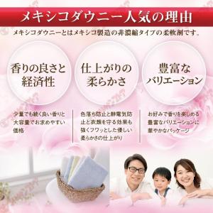 メキシコダウニーエレガンス 柔軟剤 2.6L×...の詳細画像5