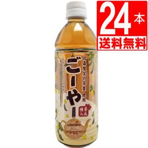 ごーやー茶 琉球アジアン ゴーヤー茶 500ml×24本 1ケース  沖縄限定品　ペットボトル｜marusanstore