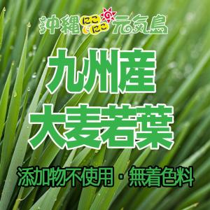 青汁ゼリー リンゴ味 3袋(10g×42包) ...の詳細画像2