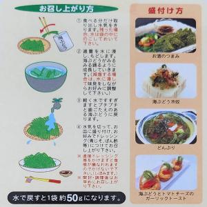 まるごと海ぶどう 33g (水で戻すと約50g...の詳細画像1