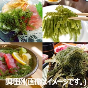 まるごと海ぶどう 33g (水で戻すと約50g...の詳細画像3
