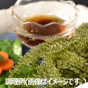 まるごと海ぶどう 33g (水で戻すと約50g...の詳細画像4