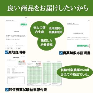 ヨモギ粉末 琉球ヨモギパウダー50g×3袋 ヨ...の詳細画像2