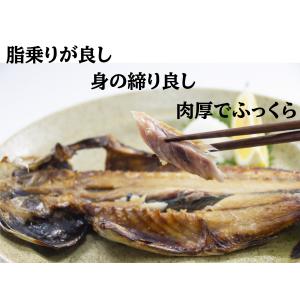 プロ厳選!長崎対馬・済州島海域最高級 真アジの...の詳細画像4