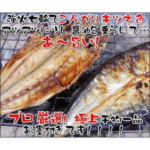 プロ厳選!対馬・済州島海域最高級 真アジの開き...の詳細画像1