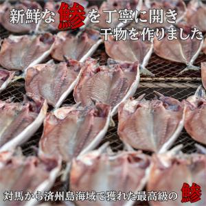 プロ厳選!対馬・済州島海域最高級 真アジの開き...の詳細画像2
