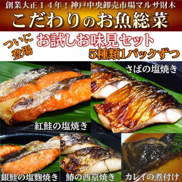 【簡単便利 レンジの目安は冷凍のまま約2分半】【お試し5パックお味見セット：送料無料】5種類各1パッ...
