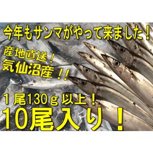 鮮サンマ　10尾　130ｇ以上　秋刀魚　秋の味覚　丸繁｜marushige-mekabu