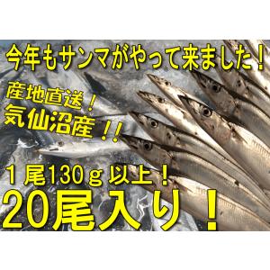 鮮サンマ　20尾　130ｇ以上　秋刀魚　秋の味覚　丸繁｜marushige-mekabu
