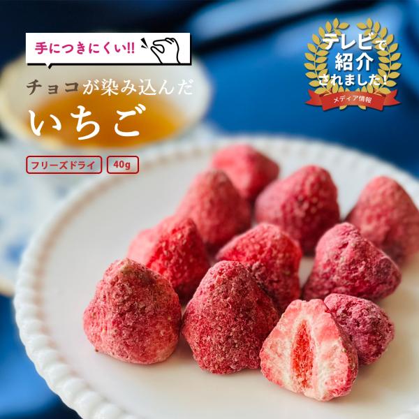 【まるしげ公式】チョコが染み込んだいちご！ フルーツチョコ いちご ドライフルーツ 1袋40g お菓...