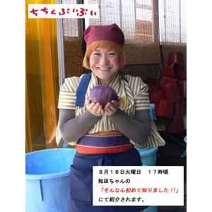 具だくさん金山寺味噌 220g角カップ☆国産原...の詳細画像2