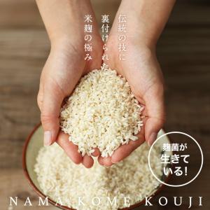 米麹 こめこうじ 5合 約800g 生米麹 国...の詳細画像1