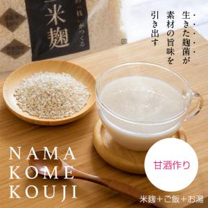 米麹 こめこうじ 5合 約800g 生米麹 国...の詳細画像3