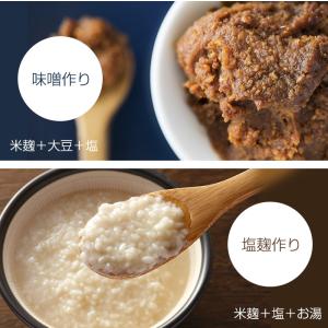 米麹 こめこうじ 5合 約800g 生米麹 国...の詳細画像4