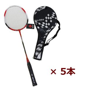 MIZUNO（ミズノ） 即納対応 ファミリーバドミントン ラケットセット
