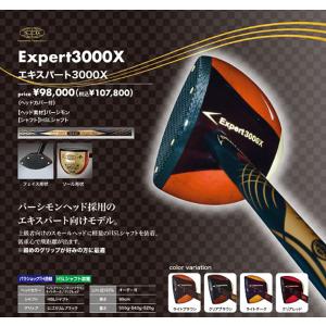 SPG パークゴルフクラブExpert3000...の詳細画像2