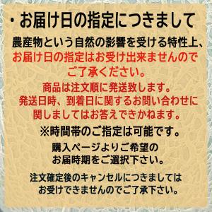 メロン 北海道 メロン ギフト 夕張 メロン ...の詳細画像4