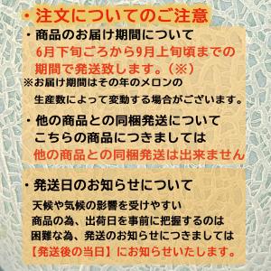 メロン 北海道 メロン ギフト 夕張 メロン ...の詳細画像5
