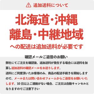 スパイダーモア 純正部品 キャブレターASSY...の詳細画像3