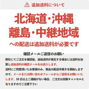ウイングモアー 純正部品 Vベルト LA45(...の詳細画像3