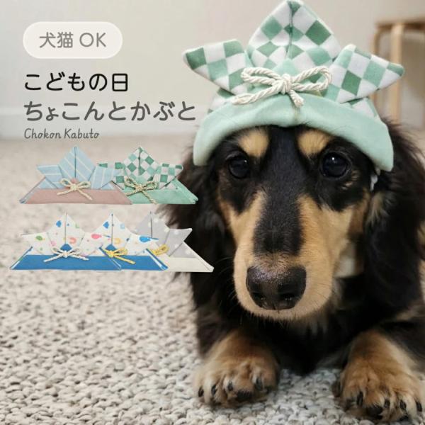 犬 兜 ペット用 ちょこんとかぶと 猫 コスプレ 端午の節句 帽子 小型犬 こどもの日 初節句 ペッ...