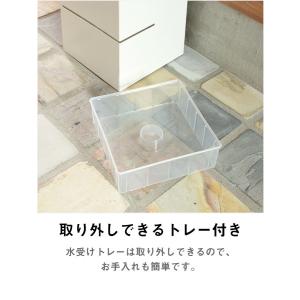 スリム スクエアタイプ 傘立て 高級感 スタイ...の詳細画像3