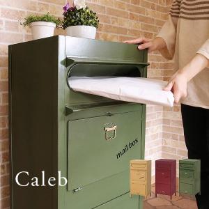 ヴィンテージ風スタンドポスト　Caleb　カレブ　郵便受け　郵便ポスト　宅配ボックス　一戸建て用　屋外　大型　置き型　スタンドタイプ　ヴィンテージ[j]