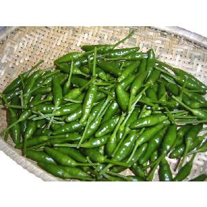 島とうがらし（島唐辛子） 青500g