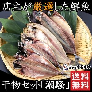 干物 詰め合わせ 4枚 潮騒 干物セット 鯵 アジ 鯖 サバ 真ほっけ マホッケ 父の日 ギフト｜道の港まるたけ 干物 千葉県お土産