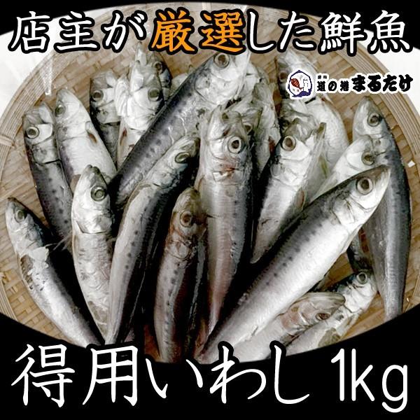 得用いわし 1kg×2セット(2kg) お買い得 詰め合わせセット 国産 愛知県産 鰯 真イワシ 真...