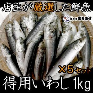 得用いわし 1kg×5セット(5kg) お買い得 詰め合わせセット 国産 愛知県産 鰯 真イワシ 真いわし 贈り物 父の日ギフト