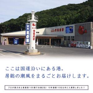 銀鮭フィーレ 半身1枚 銀サケ 魚介類 加工品...の詳細画像4