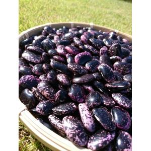 花豆 高原花豆 紫花豆 新潟県産 令和3年産 150グラム