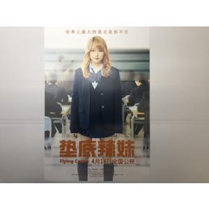 映画『ビリギャル』◇ 中国劇場版・宣伝用・小型ポスター｜marutokugai