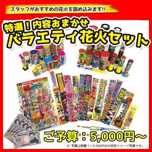 内容おまかせ！特選 特選手持ち花火・噴き出し花火・打上花火・連発花火の入ったバラエティ花火セット