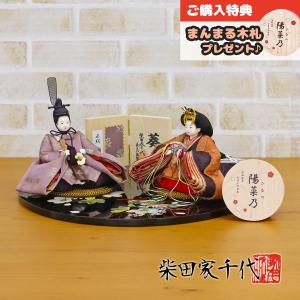 40号 間口120cm 七段 スチール製 ひな壇 （普及タイプ） 雛人形用 ひな